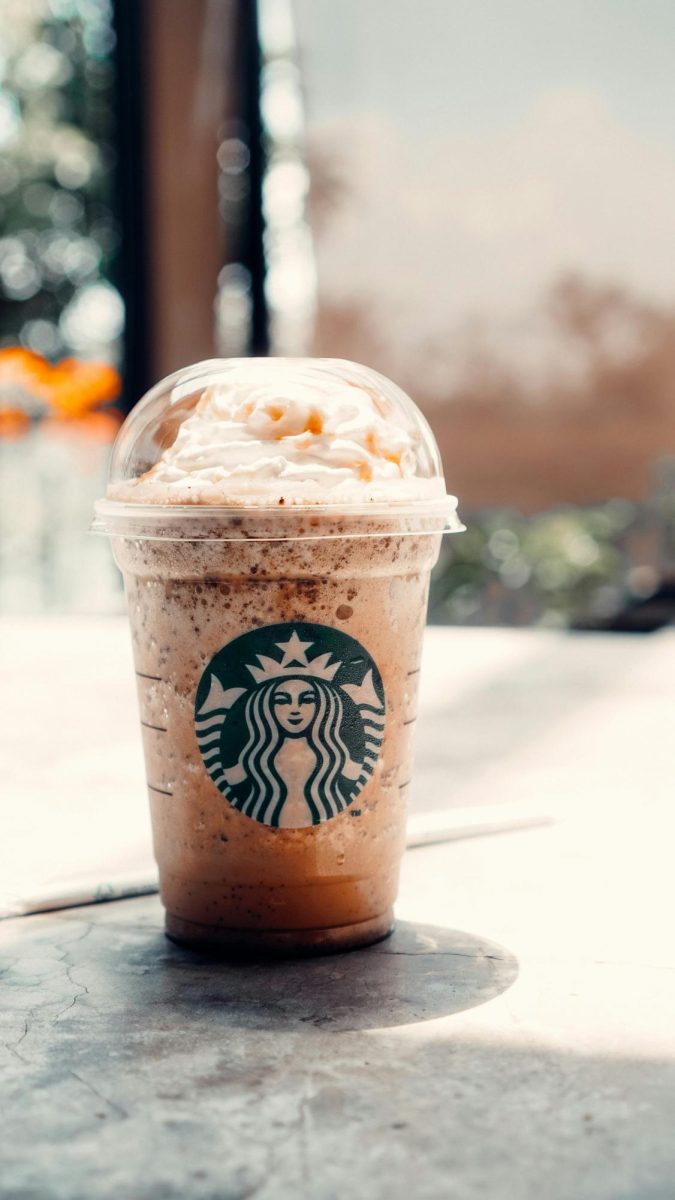 Photo via https://images.pexels.com/photos/9744980/pexels-photo-9744980.jpeg under the Creative Commons License
